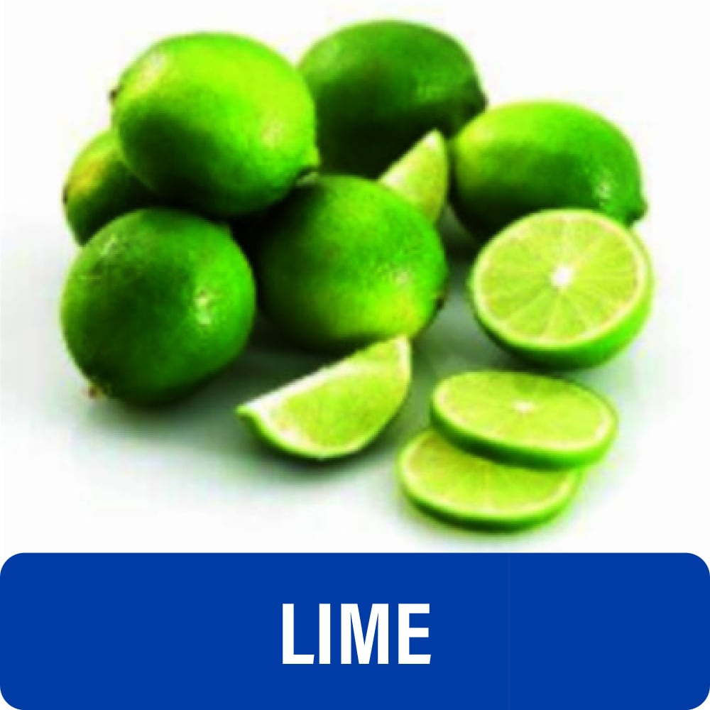 Fresh Key Limes - Each