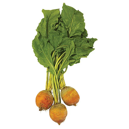 Golden Beets