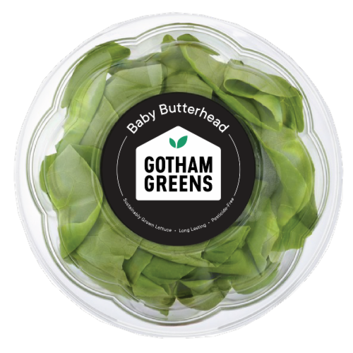 Gotham Greens Baby Butterhead Lettuce