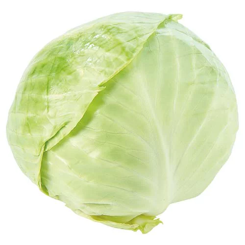 Green Cabbage