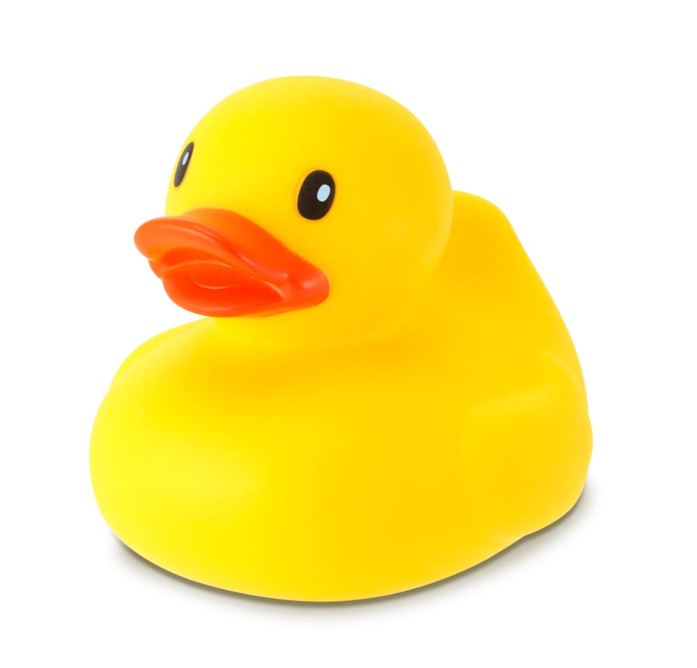 Infantino Rubber Duck - Colors May Vary