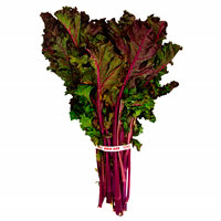 Kale Red Kale - Organic, 1 each