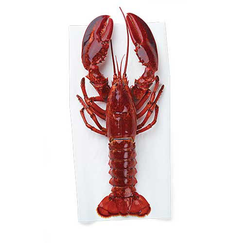 Wegmans Live Lobster, 2