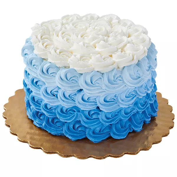 Wegmans Mini True Color Ombre Chocolate Cake