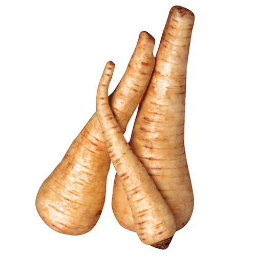Organic Parsnip
