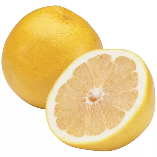 White Grapefruit