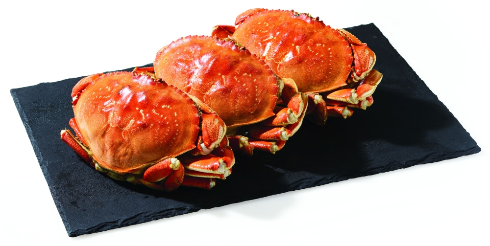 Whole Cooked Dungeness Crab