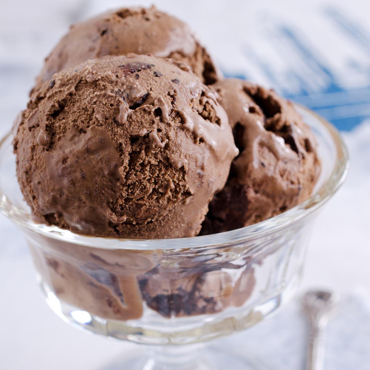 Chocolate Chocolate Chip Ice Cream