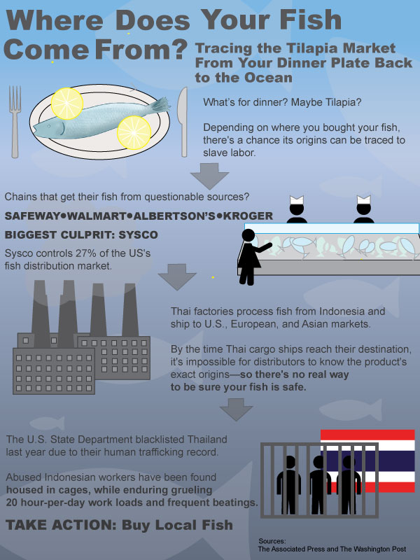 You tube sex trafficking talapia intolerable You tube sex trafficking talapia