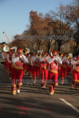 Banda M Delfines