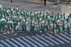 Cheerleaders