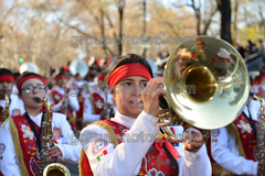 Banda M Delfines