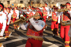 Banda M Delfines