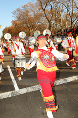 Banda M Delfines