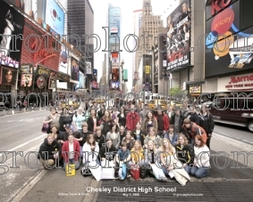 Chesley District