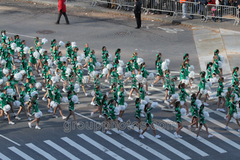 Cheerleaders