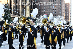 trumbull