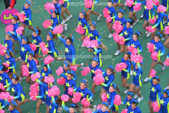cheer