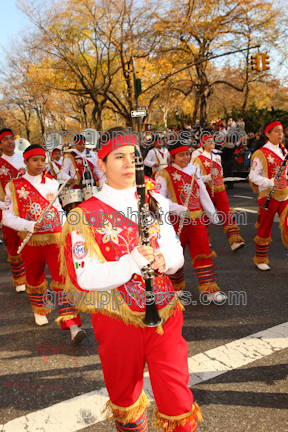 Banda M Delfines