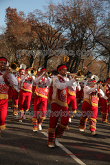 Banda M Delfines