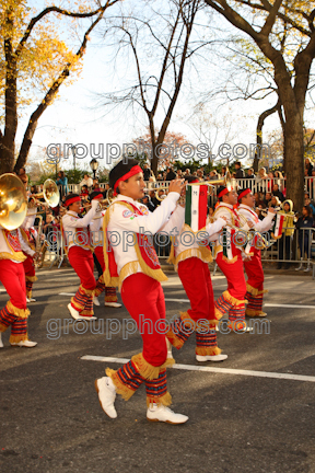 Banda M Delfines