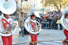 Banda M Delfines