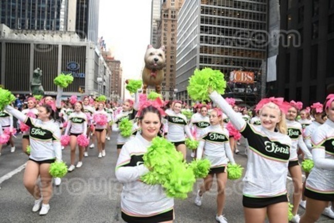 Cheerleaders