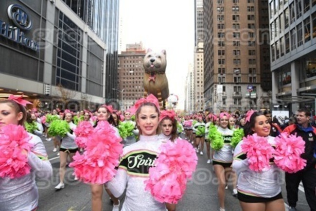 Cheerleaders