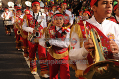 Banda M Delfines