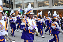 alcorn su