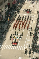 Cardinal Hayes