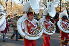 Banda M Delfines