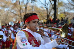 Banda M Delfines