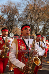 Banda M Delfines