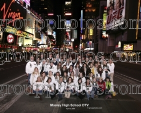 Mosley DTV