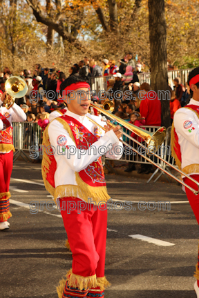 Banda M Delfines