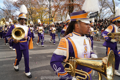 alcorn su