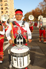 Banda M Delfines