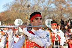 Banda M Delfines