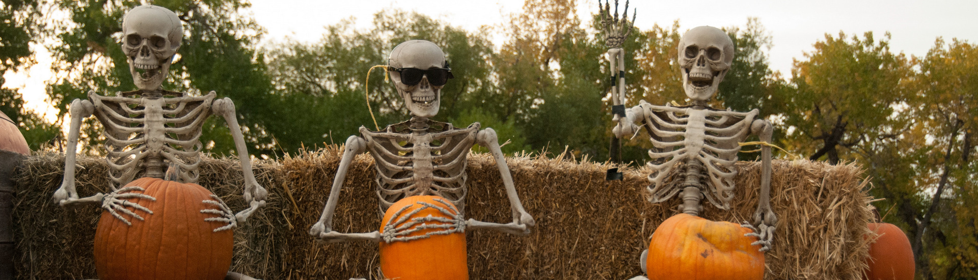 Skeletons on a Haunted Hayride