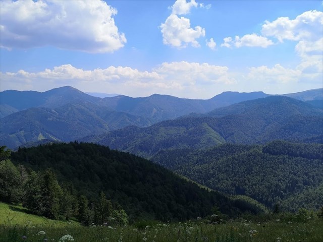 Výhľady z Malého Lysca 8.8.2020