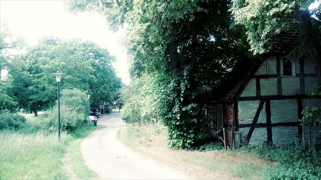 Blick auf Teerofen 2019