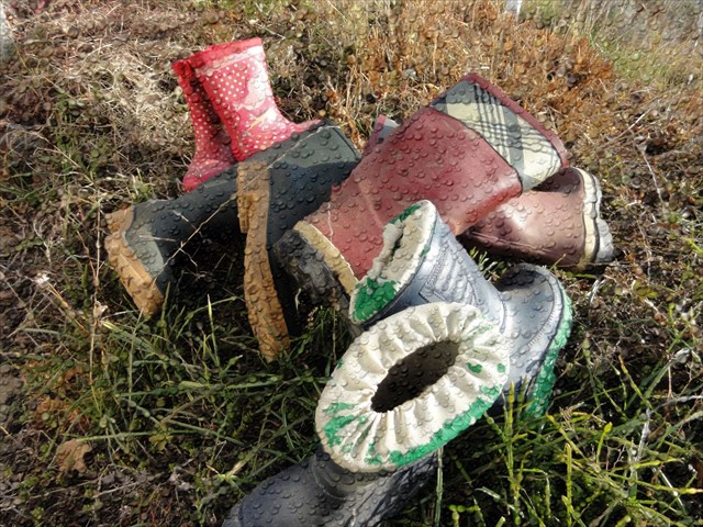 Gumboot collection