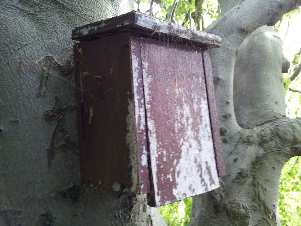 Grenzerfahrung #11 Essen-Horst