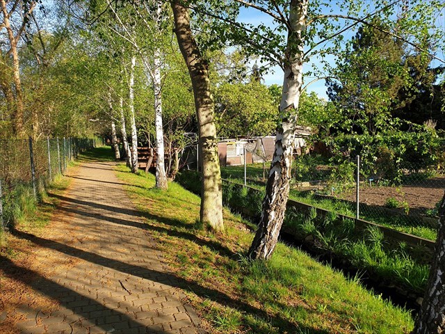 Hier sollte sich ein Bild befinden