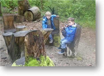 Speelbos de Zevensprong 