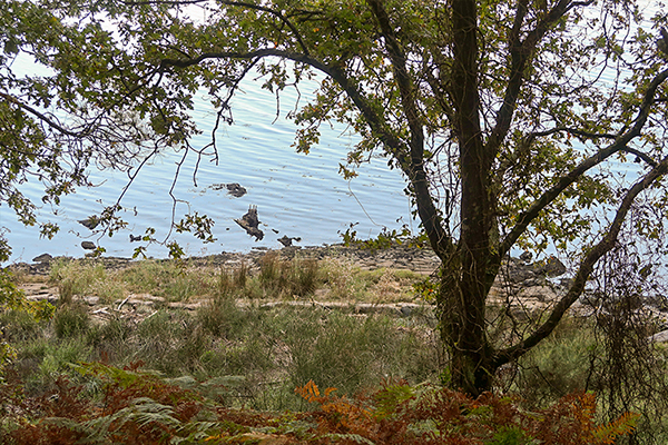 Carpintaría dos Lanchos