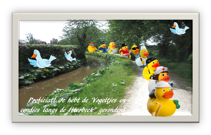 Vogeltjes en eendjes langs de Itterbeek