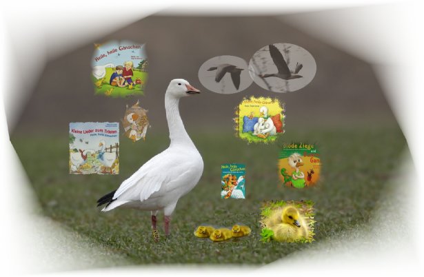 Serverprobleme - versuch es später nochmal