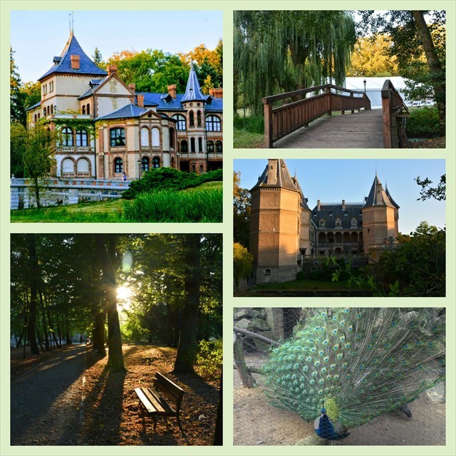 park